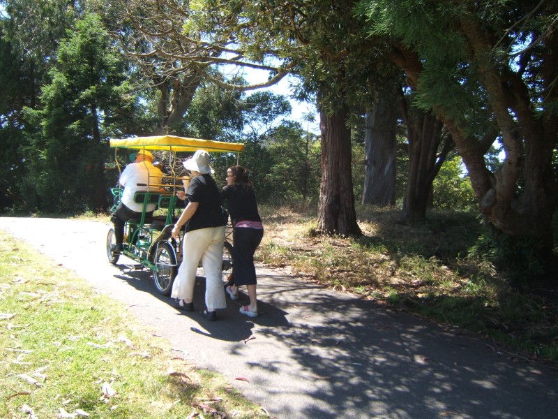 Palo Alto-Gal 6.2005 695.jpg